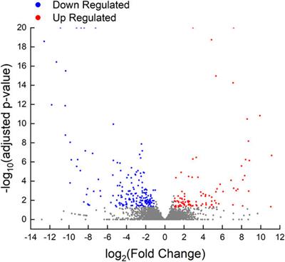 The Ovarian Transcriptome at the Early Stage of Testis Removal-Induced Male-To-Female Sex Change in the Protandrous Black Porgy Acanthopagrus schlegelii